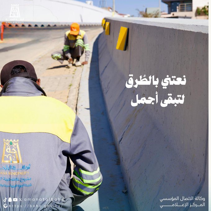 Weed Removal and Road Cleaning Works